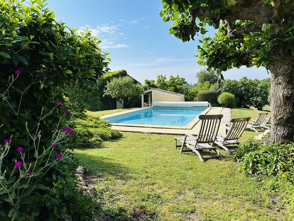 A swimming pool surrounded by a grassy lawn, with a small shed and lounge chairs.