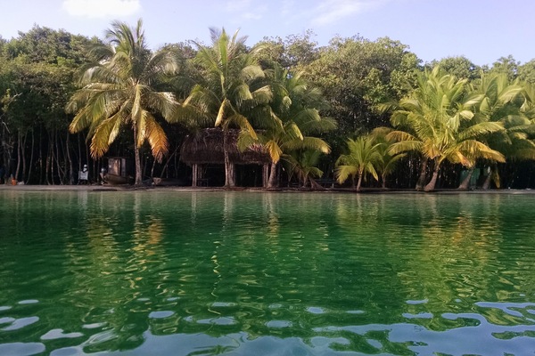 So many beautiful beaches not too far away. This is at Starfish - 30 min away.