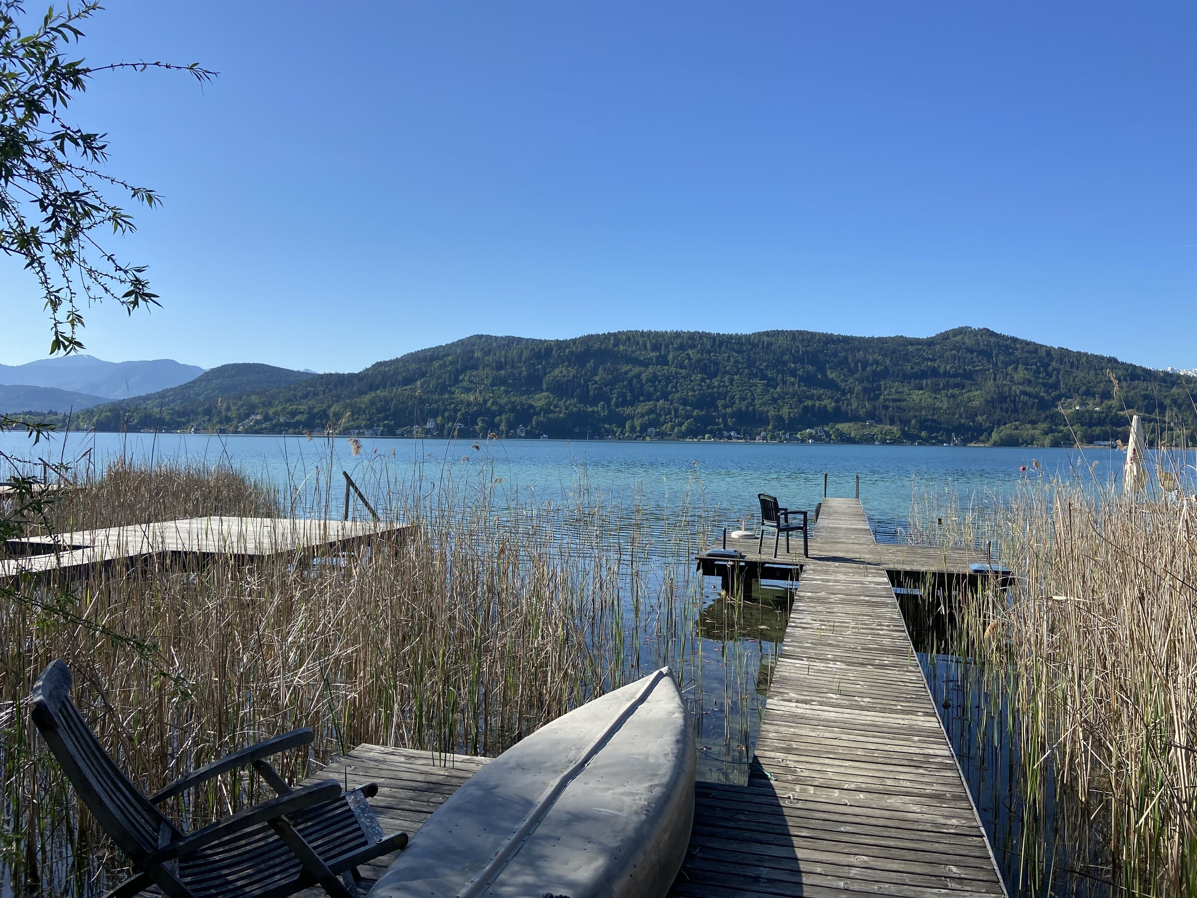 A wooden dock extending into a calm lake with a clear view of a forested mountain in the background.