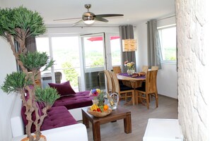 TV, fireplace, DVD player, books - Holiday apartments in the Eifel Lakes region (Schalkenmehren)