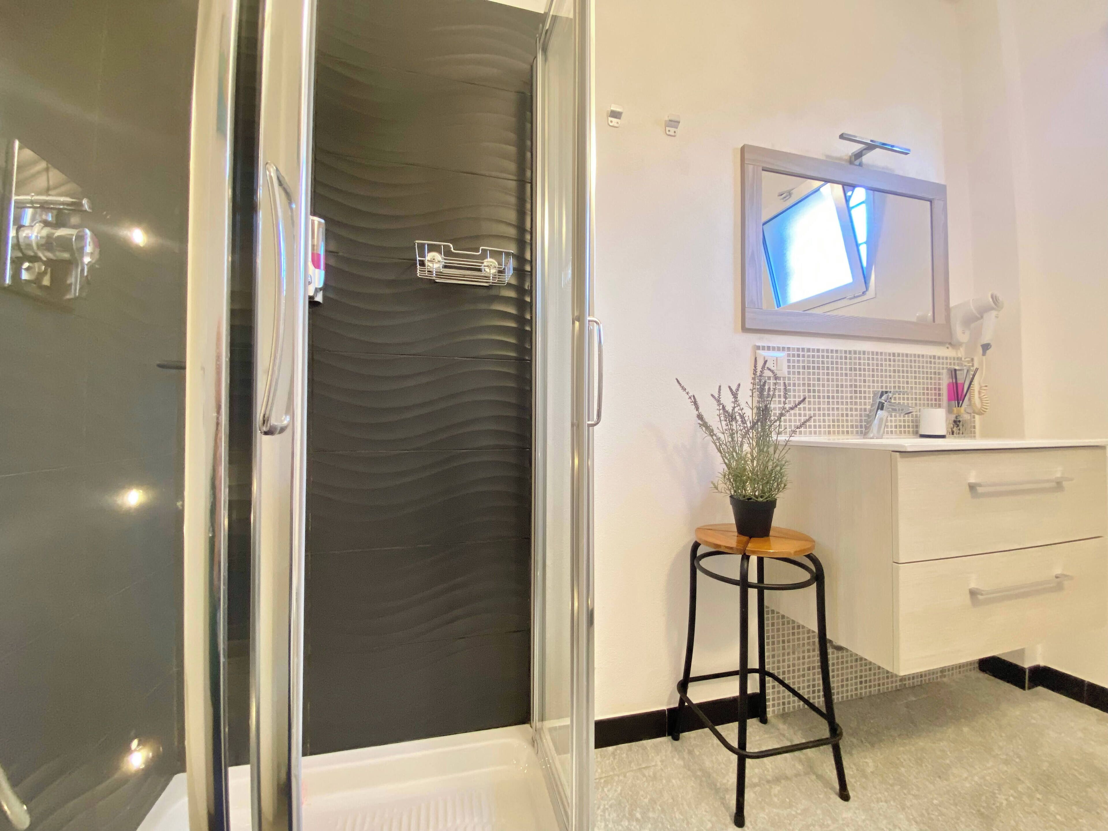 Shower, hair dryer, bidet, towels