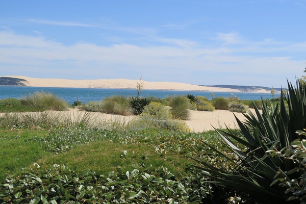 Una spiaggia nelle vicinanze