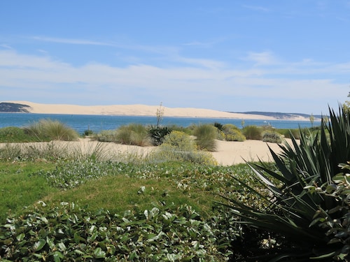 Experience a relaxing holiday on a Bordeaux family winery 20 min from Bordeaux