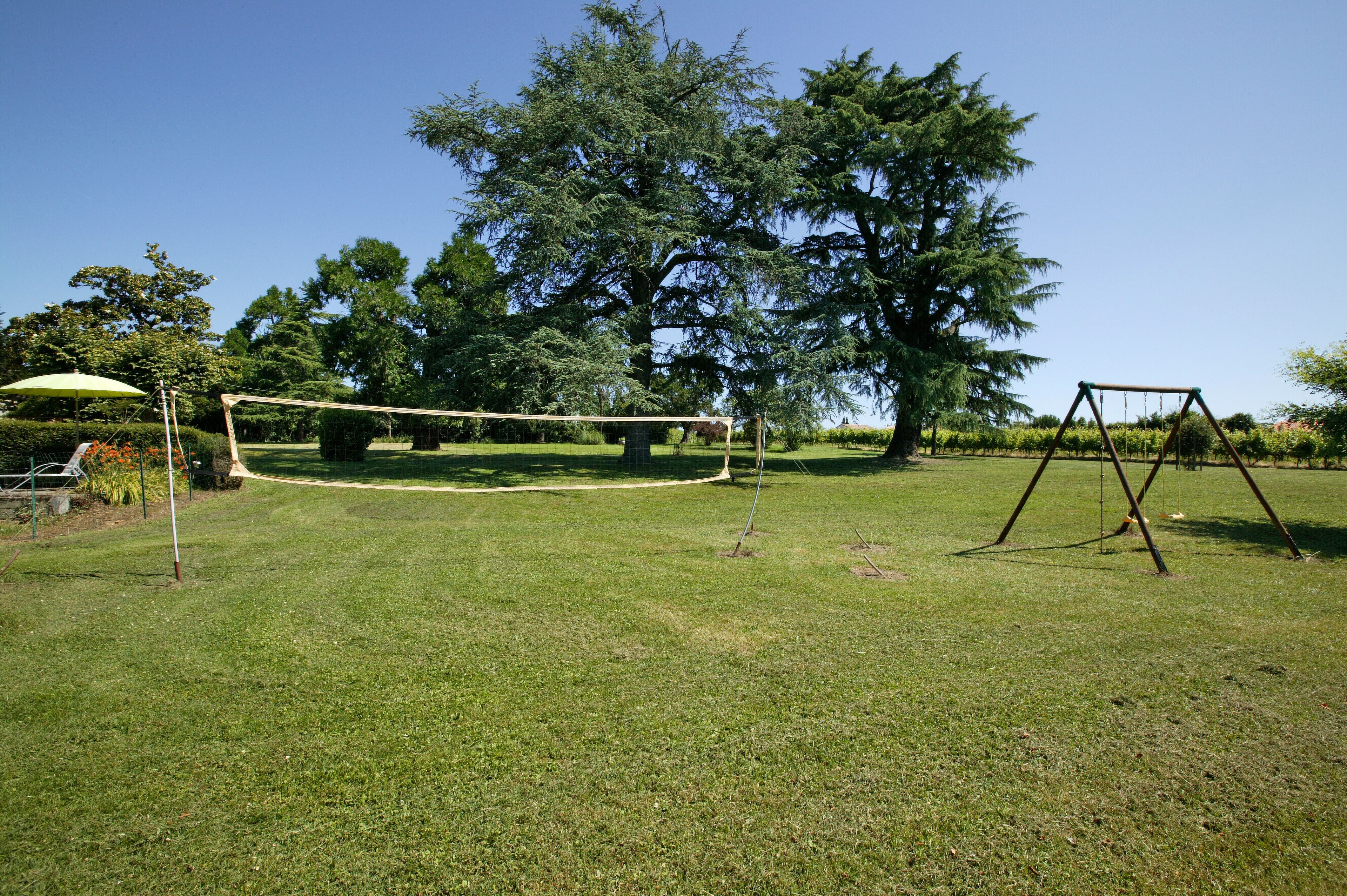 Un espacio cubierto de césped con una red de voleibol, un conjunto de columpios y un árbol grande.