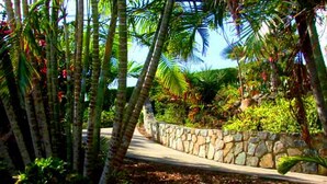 A pathway lined with palm trees and a stone wall, leading to a lush garden area. - Spacious, 3 Bed / 3 Bath, Pool, Screened Porch, Wi-Fi, A/C (Cruz Bay, St.John)