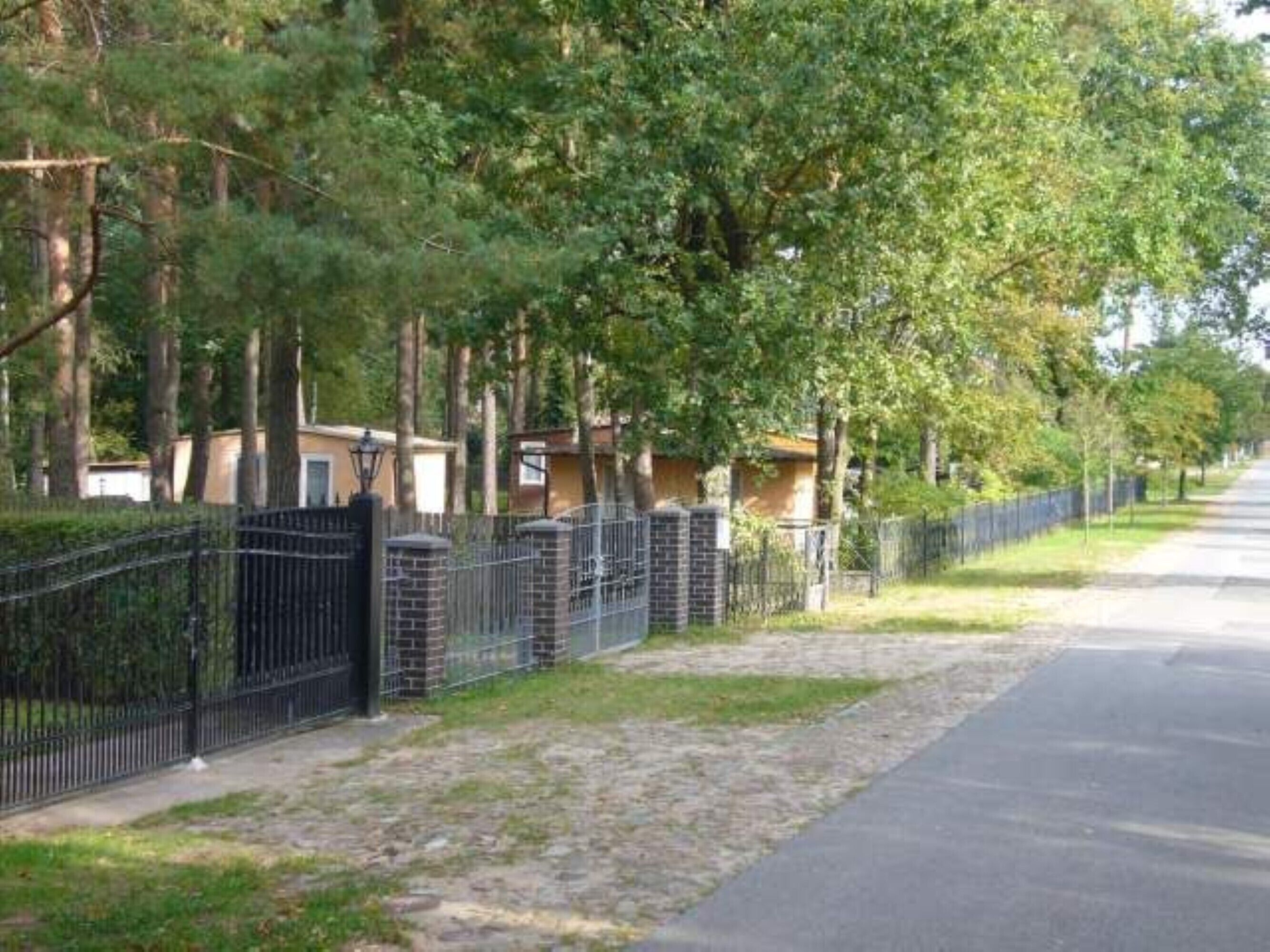 Eine Wohnstraße gesäumt von Bäumen und einem schwarzen Metallzaun.