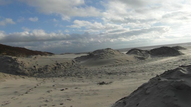 A beach with sand dunes and a cloudy sky.