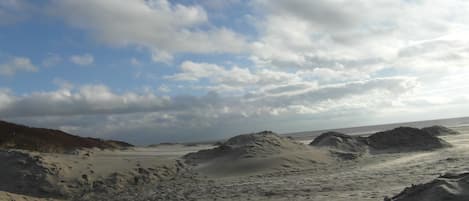 Plage à proximité