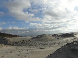 Playa en los alrededores 