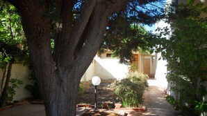 Un patio con un árbol grande, un camino y un edificio con una puerta al fondo.