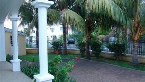 A covered outdoor area with palm trees, a paved walkway, and a building in the background.