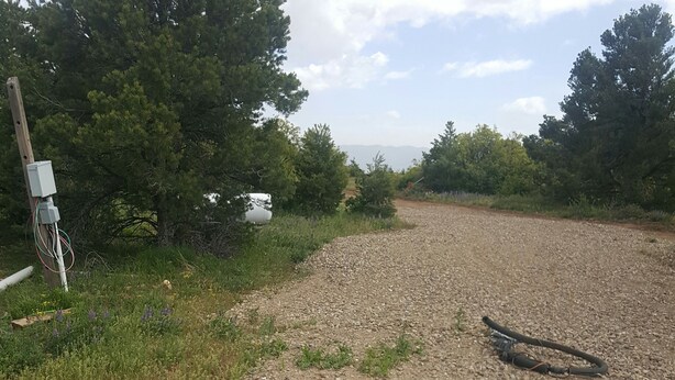 A gravel path with a white fire hydrant, surrounded by greenery and a utility pole with wires. - Horny toad point RV space  up above Dolores Colorado book today great view s!  (Dolores)