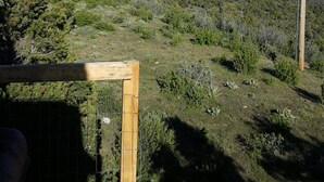 A view from a wooden deck overlooking a forested landscape with distant snow-capped mountains. - Horny toad point RV space  up above Dolores Colorado book today great view s!  (Dolores)