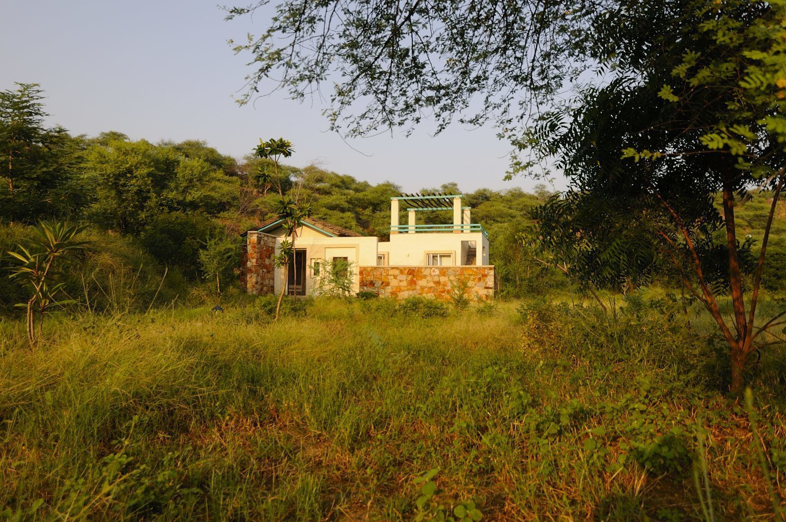 Una casa pequeña y rústica con fachada de piedra y techo de metal, rodeada de abundante vegetación y árboles.