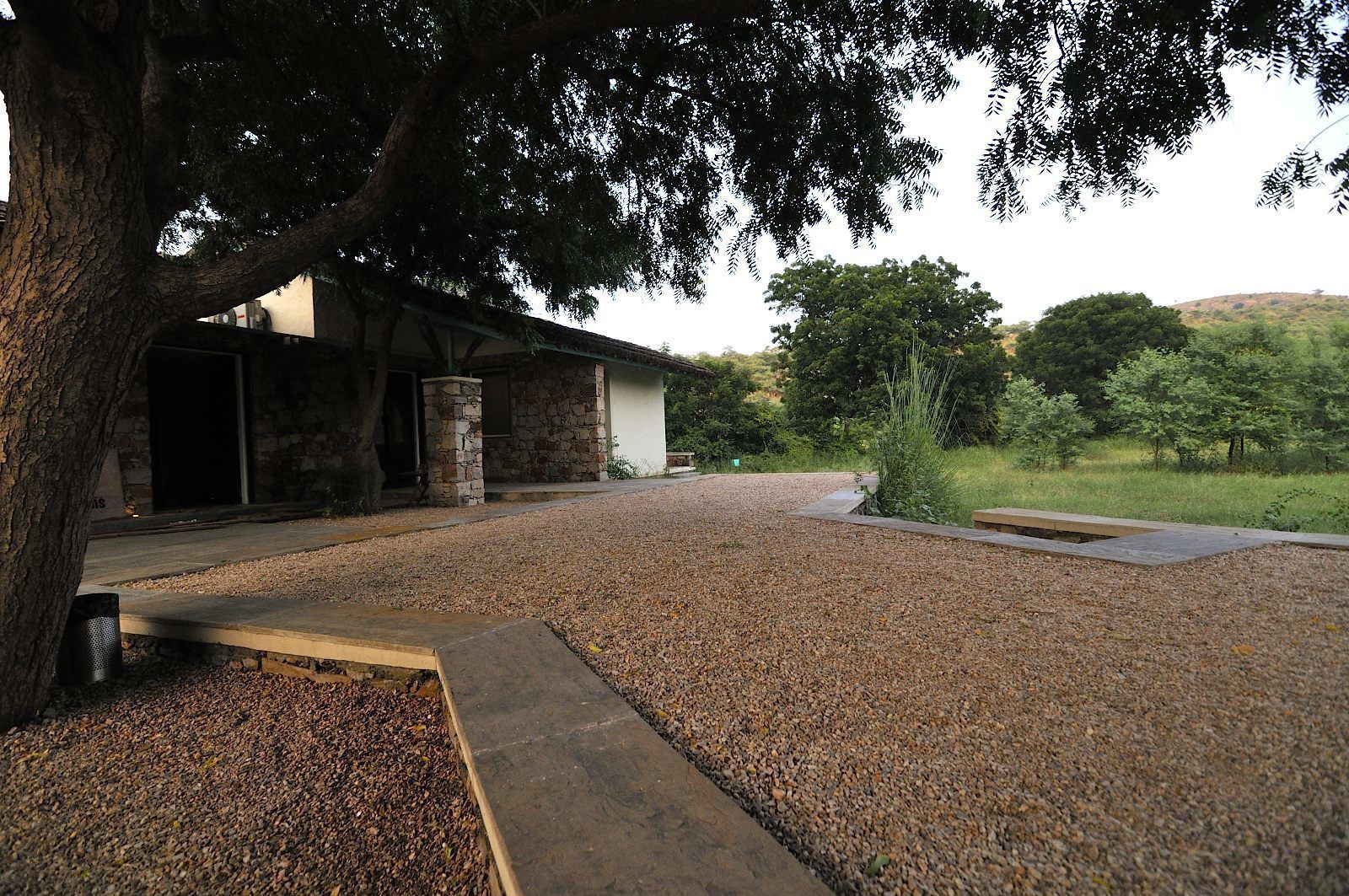 A building with a stone exterior, a gravel driveway, and a tree in the foreground.