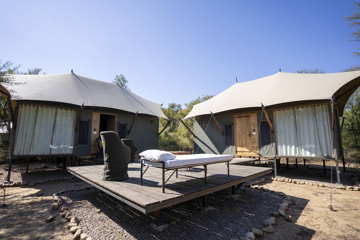 Two tents with wooden decks and a single bed in each.