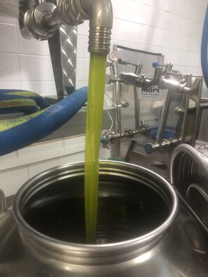 A stainless steel container with a green liquid being poured from a pipe. - THE BARN by Podere Casato: bedroom with Air-Conditioning/WiFi/Swimming-pool (montespertoli)