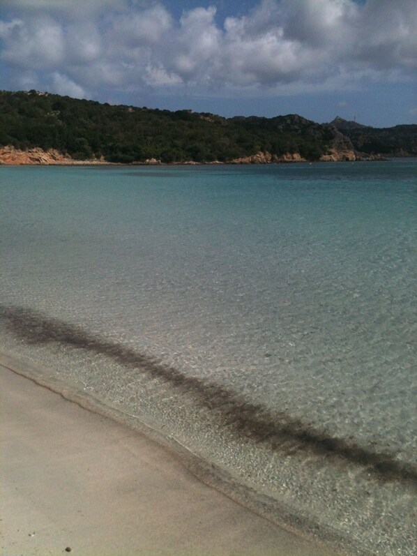 Camastros y toallas de playa