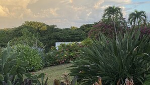 A garden with various plants and a rainbow in the sky. - Abreeze Studio: Stunning Hilltop Villa in Destino (Puerto Ferro)