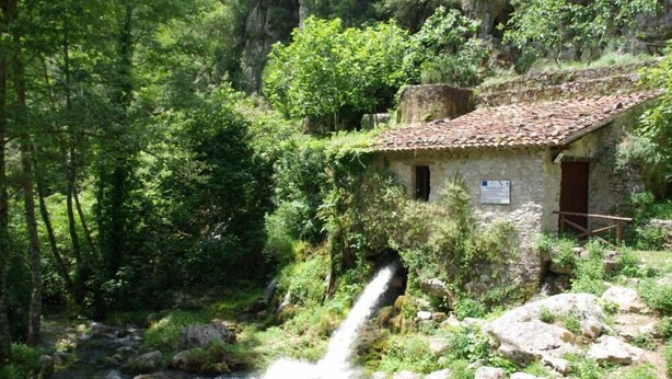 Un edificio rústico de piedra con techo de tejas, ubicado en una zona boscosa exuberante con una cascada pequeña.