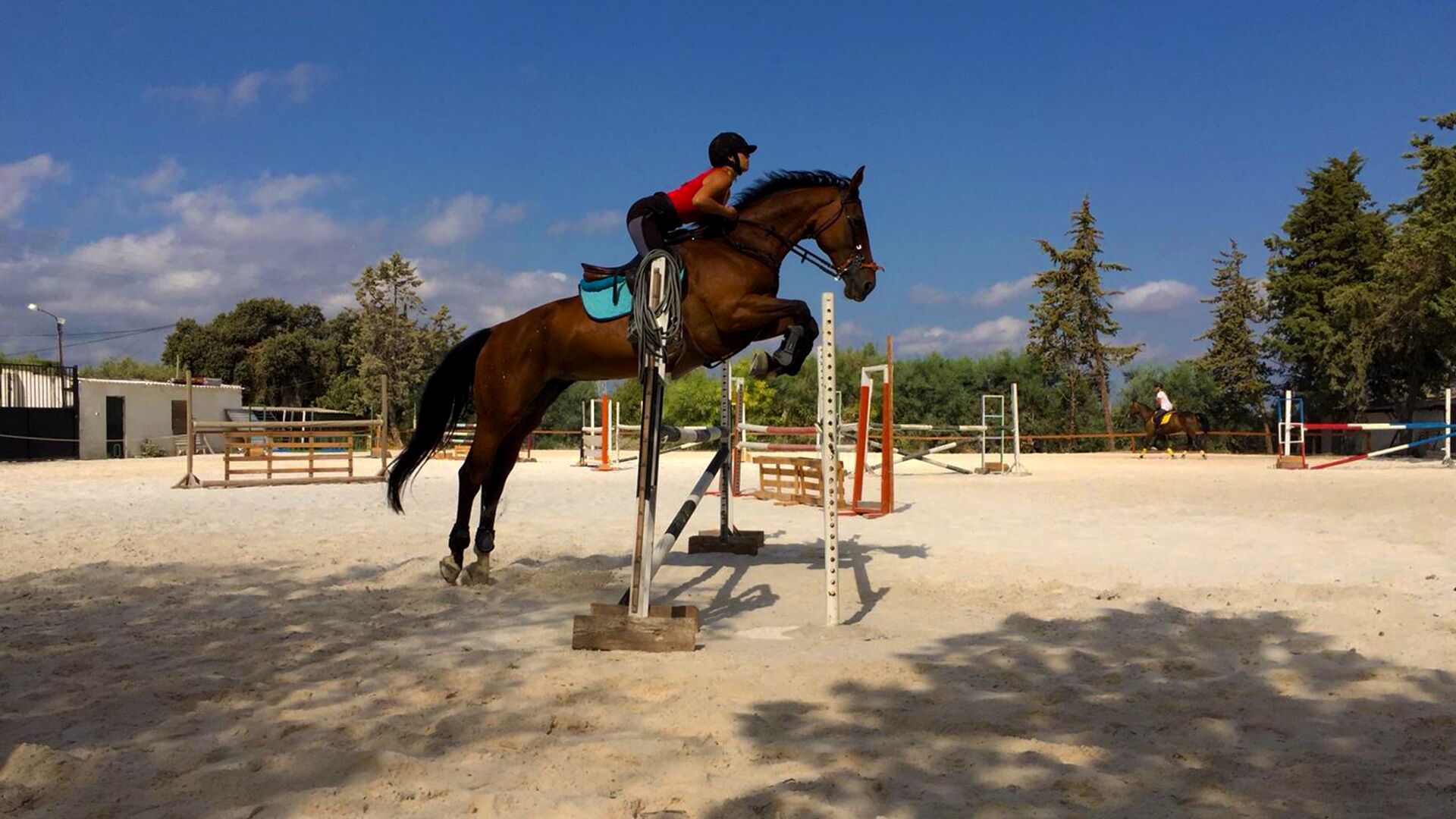 Eine Person reitet ein Pferd über eine Stange in einer Reithalle im Freien, im Hintergrund sind Bäume und ein Gebäude zu sehen.