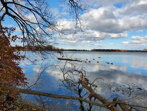 Un lago sereno con reflejos de árboles y cielo, rodeado de follaje otoñal.