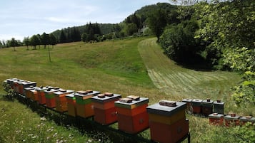 Enceinte de lâhĂ©bergement