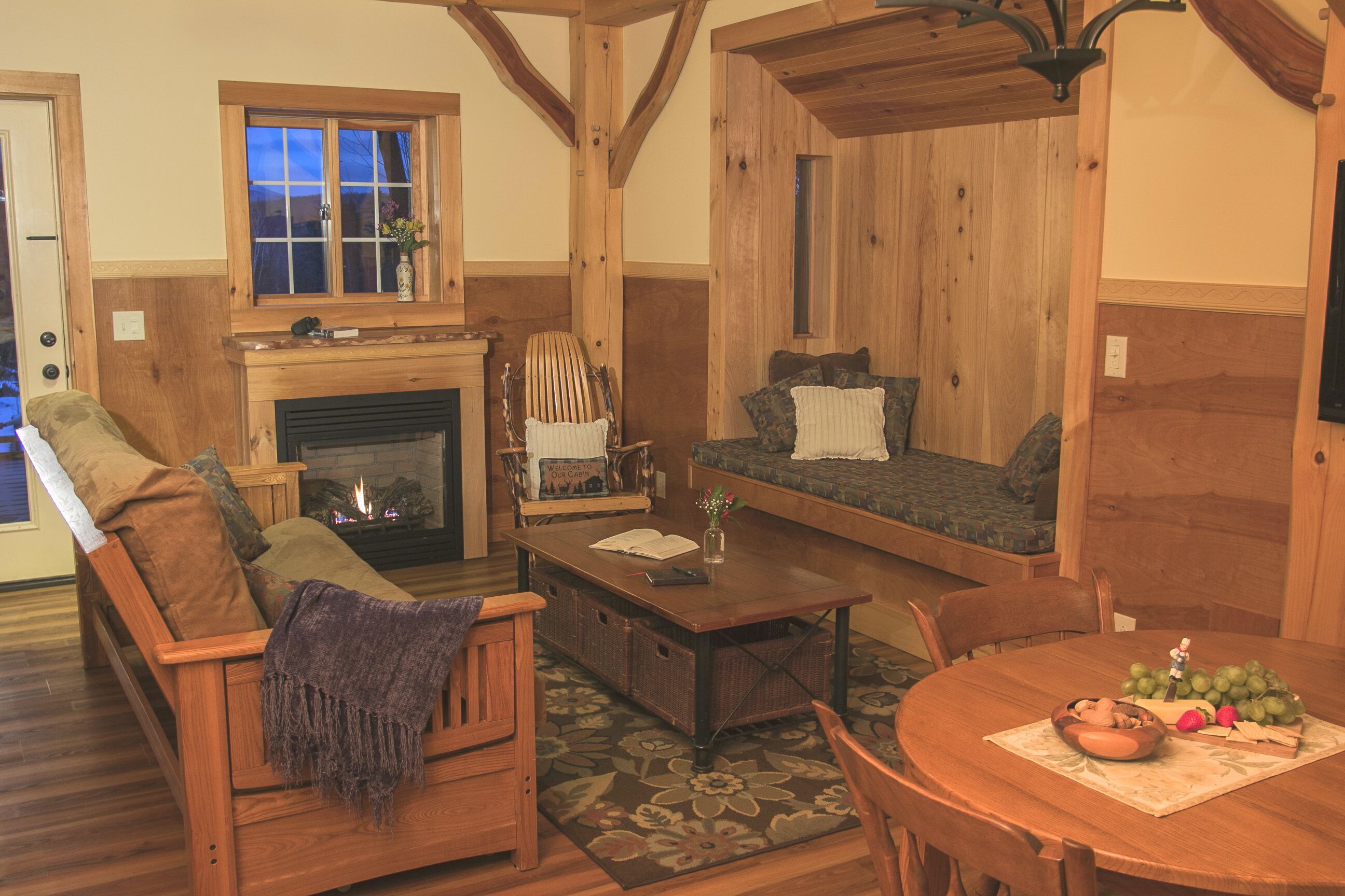 智能电视、壁炉、DVD 播放器、书