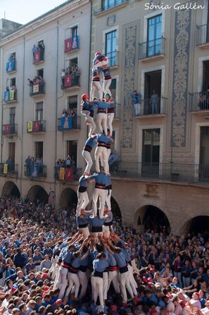 A group of people forming a human pyramid in an outdoor setting with a crowd watching.