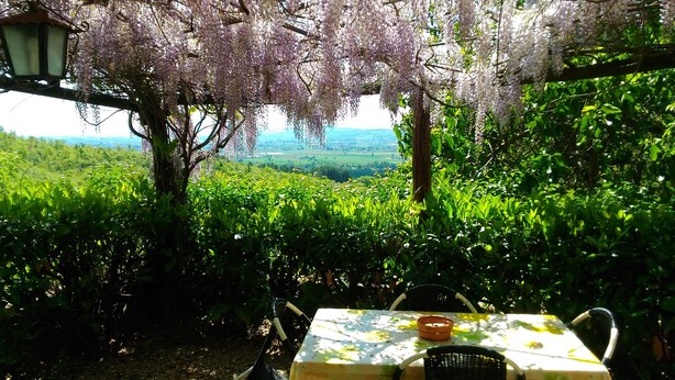 Mesa al aire libre con vistas a un viñedo y un paisaje lejano.