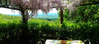 SERVITU-huoneisto 4/6 paikkaa, uima-allas, spa-puisto