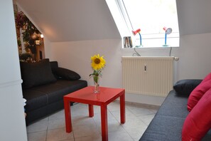 TV, DVD-spiller, bøker og filmbibliotek