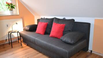 Televisión, reproductor de DVD, libros y videoteca