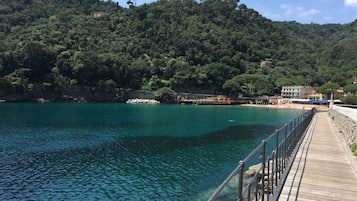 A wooden pier extending into a clear turquoise sea, with a rocky outcrop and dense green hills in the background.
