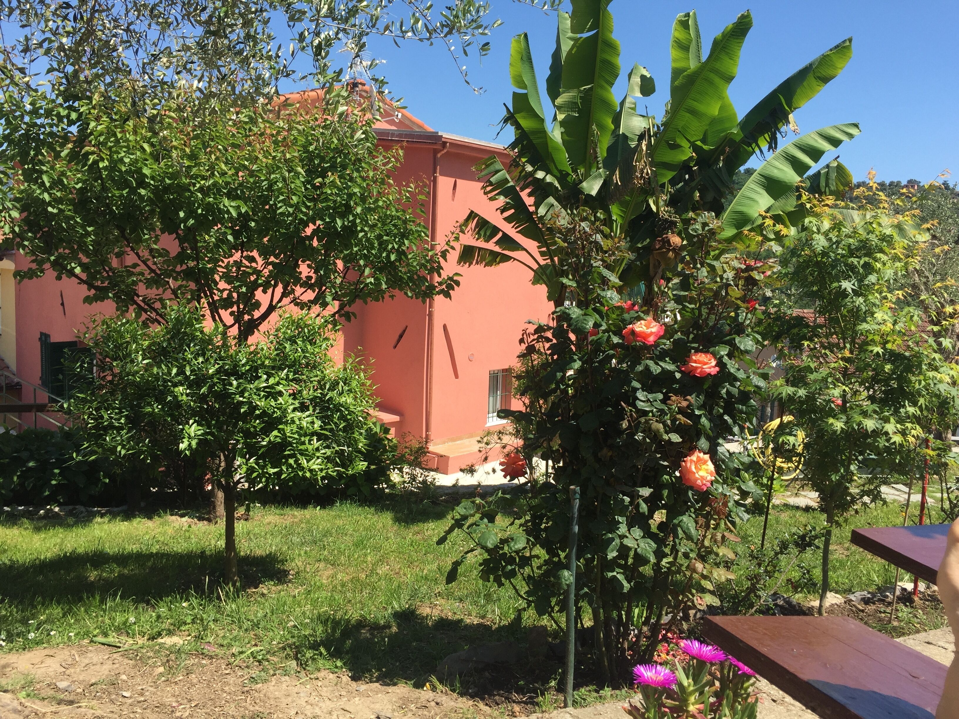 Un jardin avec un bâtiment rose, des arbres verts et un banc.