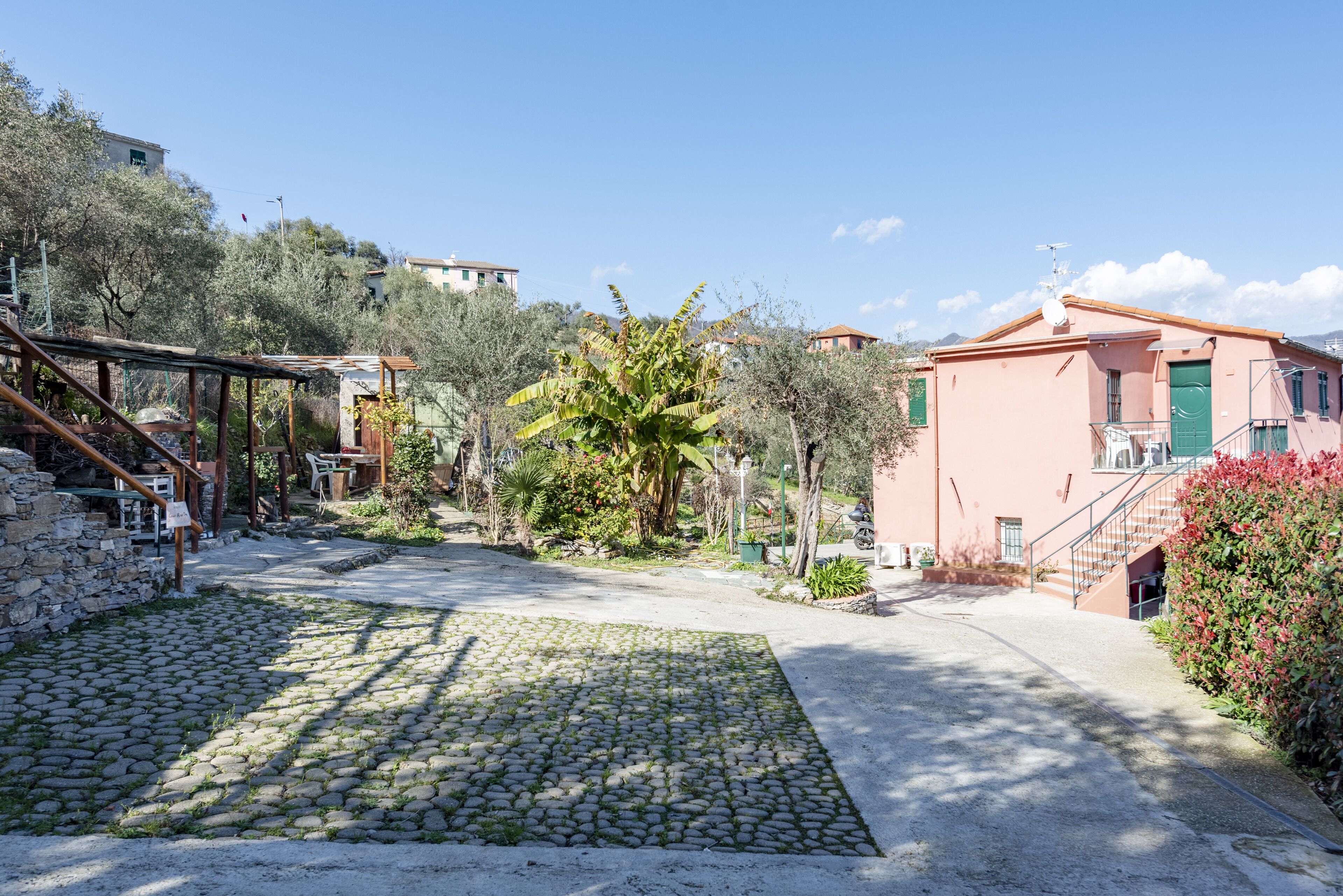 A courtyard with cobblestone flooring, a palm tree, and a pink building with a staircase.