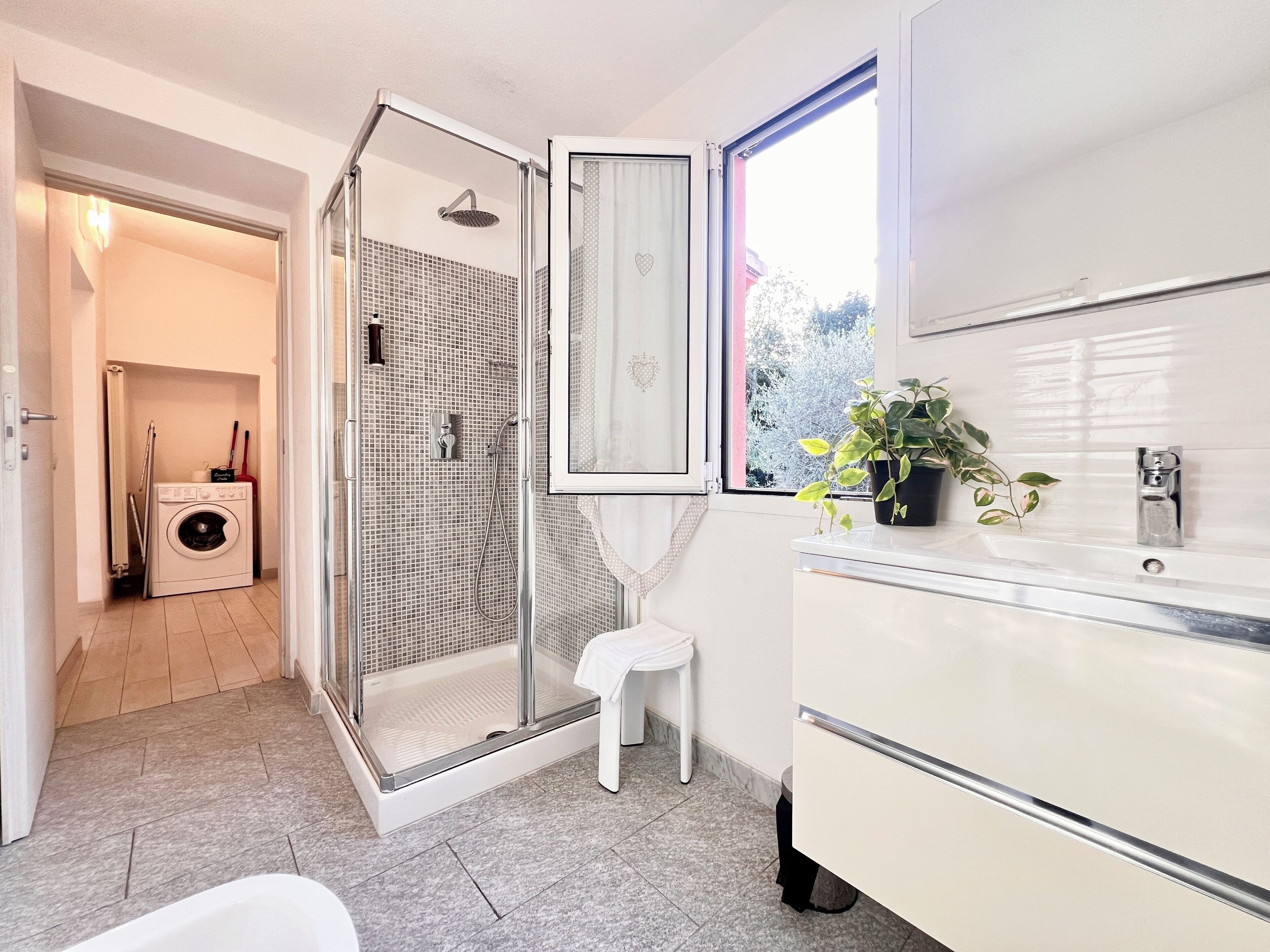 Une salle de bain moderne avec une douche en verre, un lavabo blanc et une plante en pot.