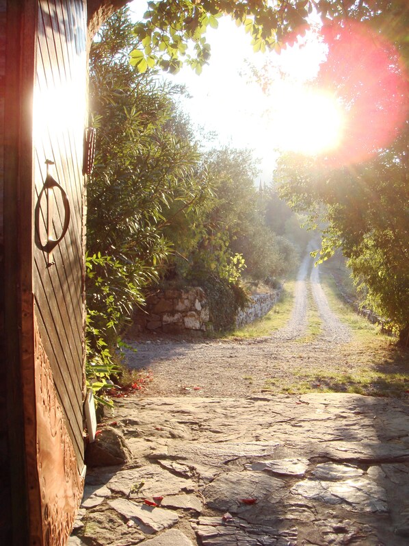 Terrain de l’hébergement 