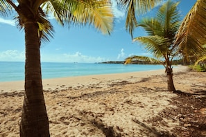 Una playa con palmeras y una vista despejada del océano.