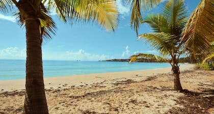 Palmas Del Mar: Crescent Cove 94