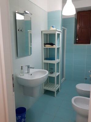 Regadera, secadora de cabello, bidet, toallas 