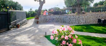 Villa Rosa Cilento entourée d'oliviers