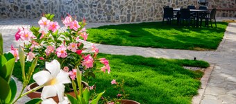 Villa Rosa Cilento rodeada de olivos