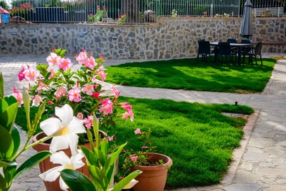 Villa Rosa Cilento Quadruple Pearl