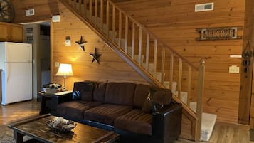 TV connectée, cheminée, lecteur de DVD, livres