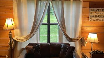 TV connectée, cheminée, lecteur de DVD, livres