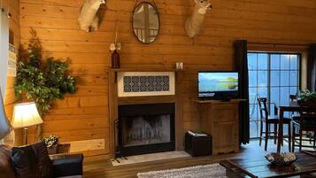 TV connectée, cheminée, lecteur de DVD, livres