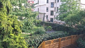 Un jardín con valla de madera, exuberante vegetación y un edificio con múltiples ventanas al fondo.