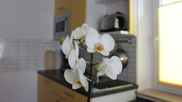 Una cocina con armarios blancos, un microondas y un ventanal con persianas.