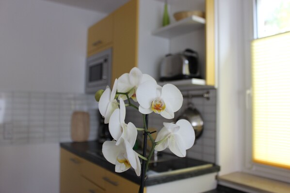 Deluxe Apartment, 1 Bedroom, Non Smoking, Kitchenette (Pillnitz) | Private kitchen | Microwave, stovetop, coffee/tea maker, electric kettle - Weber Apartments (Dresden)